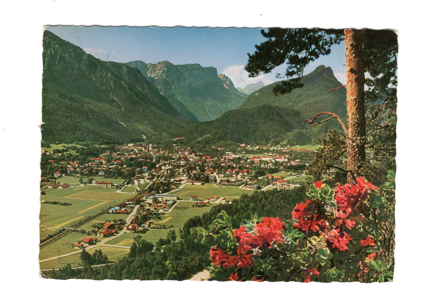 Ansichtskarte Bad Reichenhall mit Reiteralpe +++