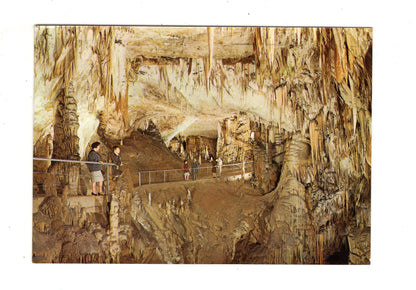Ansichtskarte Postojnska - Jama / Kroatien / N1-51