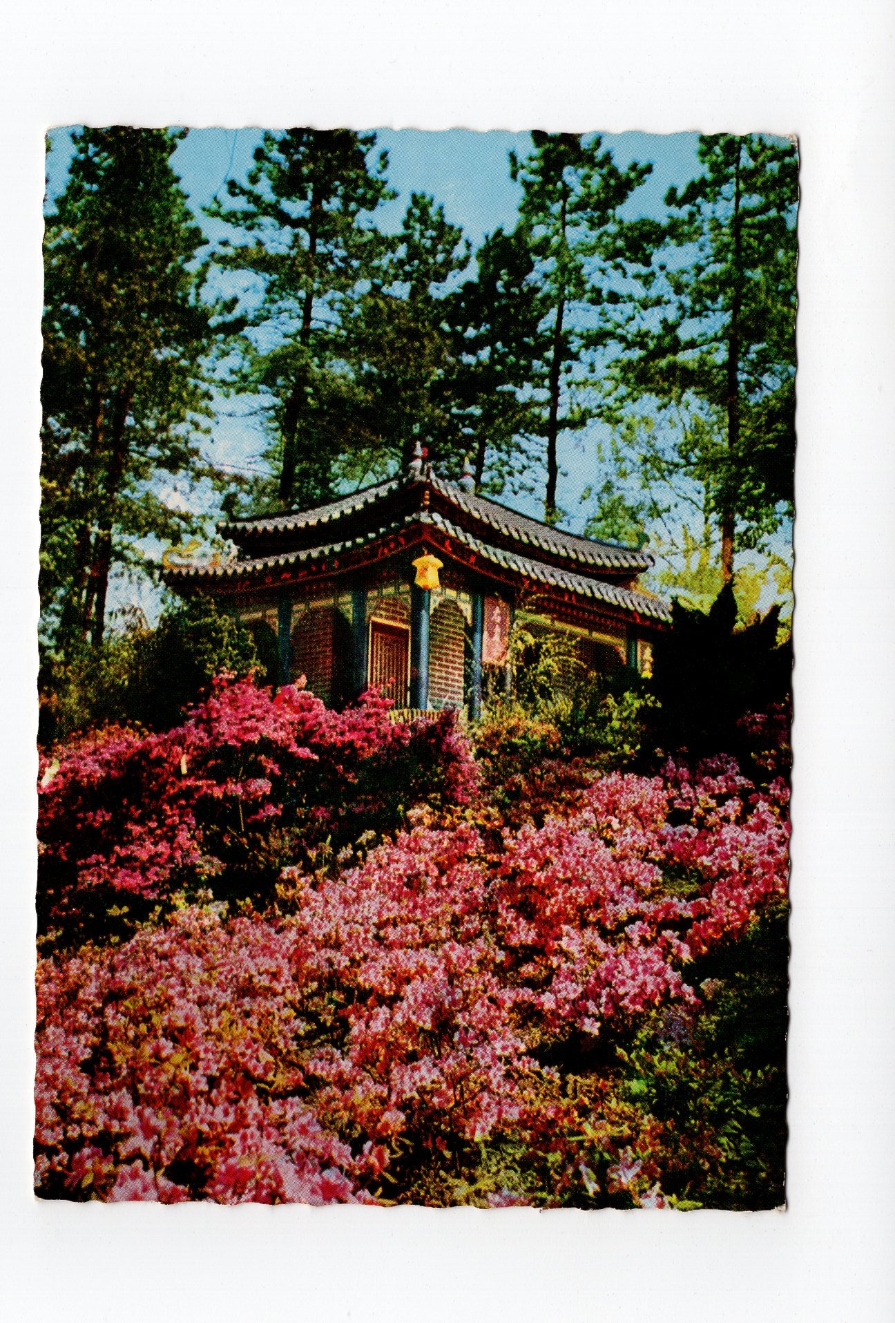 Ansichtskarte Dortmund / Westfalenpark / Teehaus