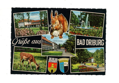 Ansichtskarte Bad Driburg am Teutoburger Wald / J1-53