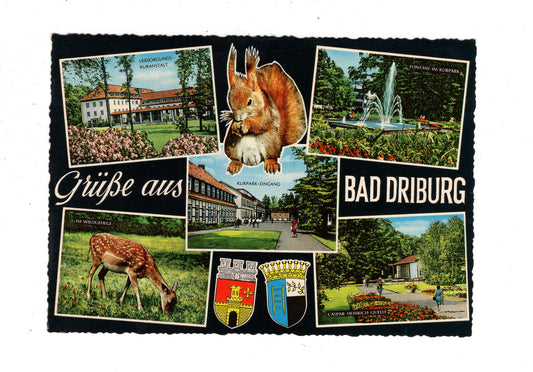 Ansichtskarte Bad Driburg am Teutoburger Wald / J1-53