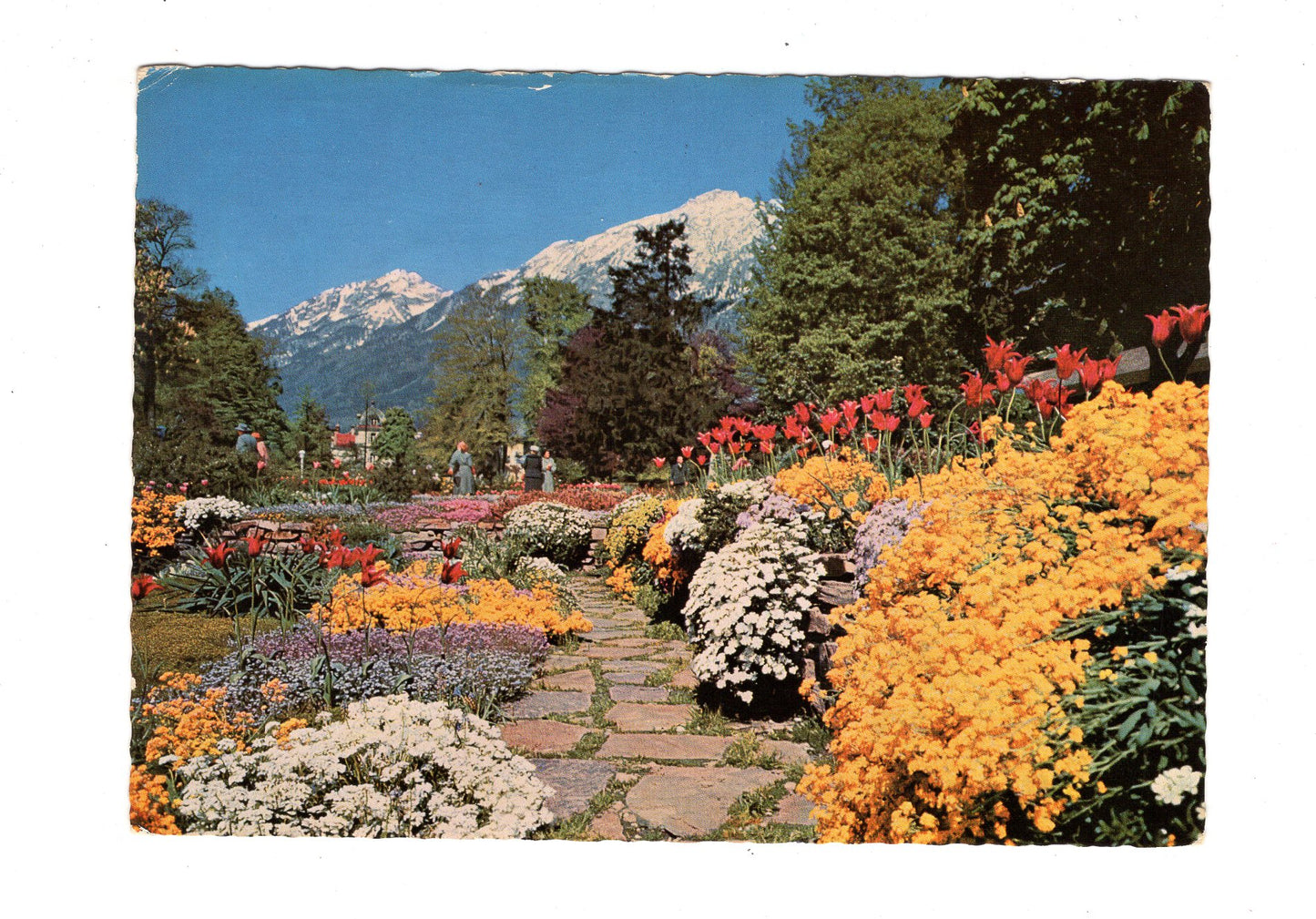 Ansichtskarte Bad Reichenhall / Im Kurpark