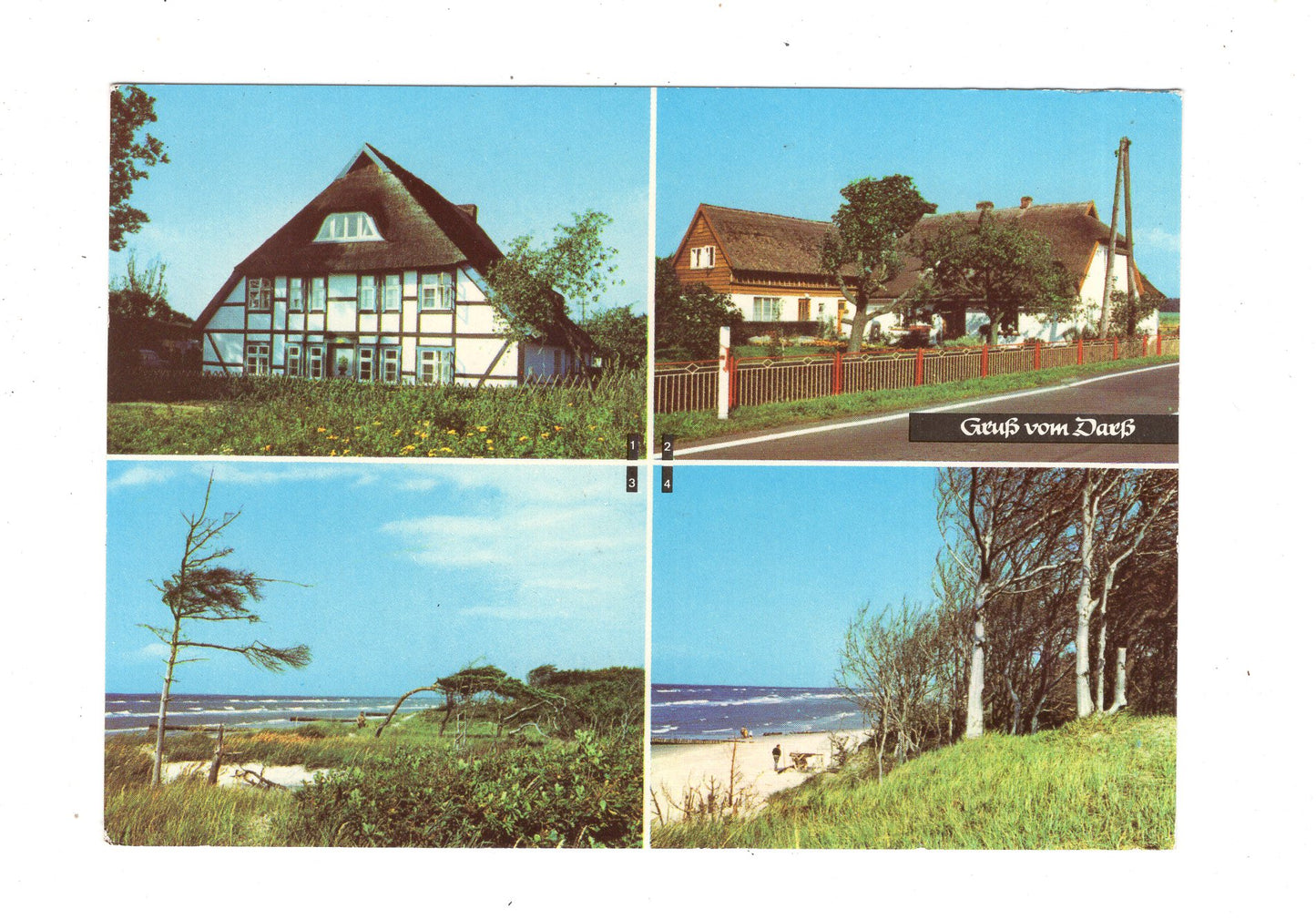 Ansichtskarte Gruß vom Darß / Wieck / Born +++ / L1-69