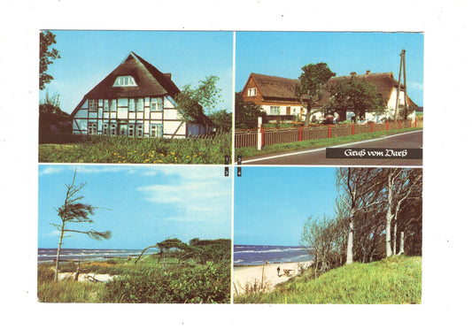 Ansichtskarte Gruß vom Darß / Wieck / Born +++ / L1-69