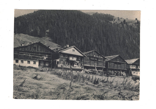 Ansichtskarte Kärntner Bauernhäuser im Lesachtal / Österreich / N1-68