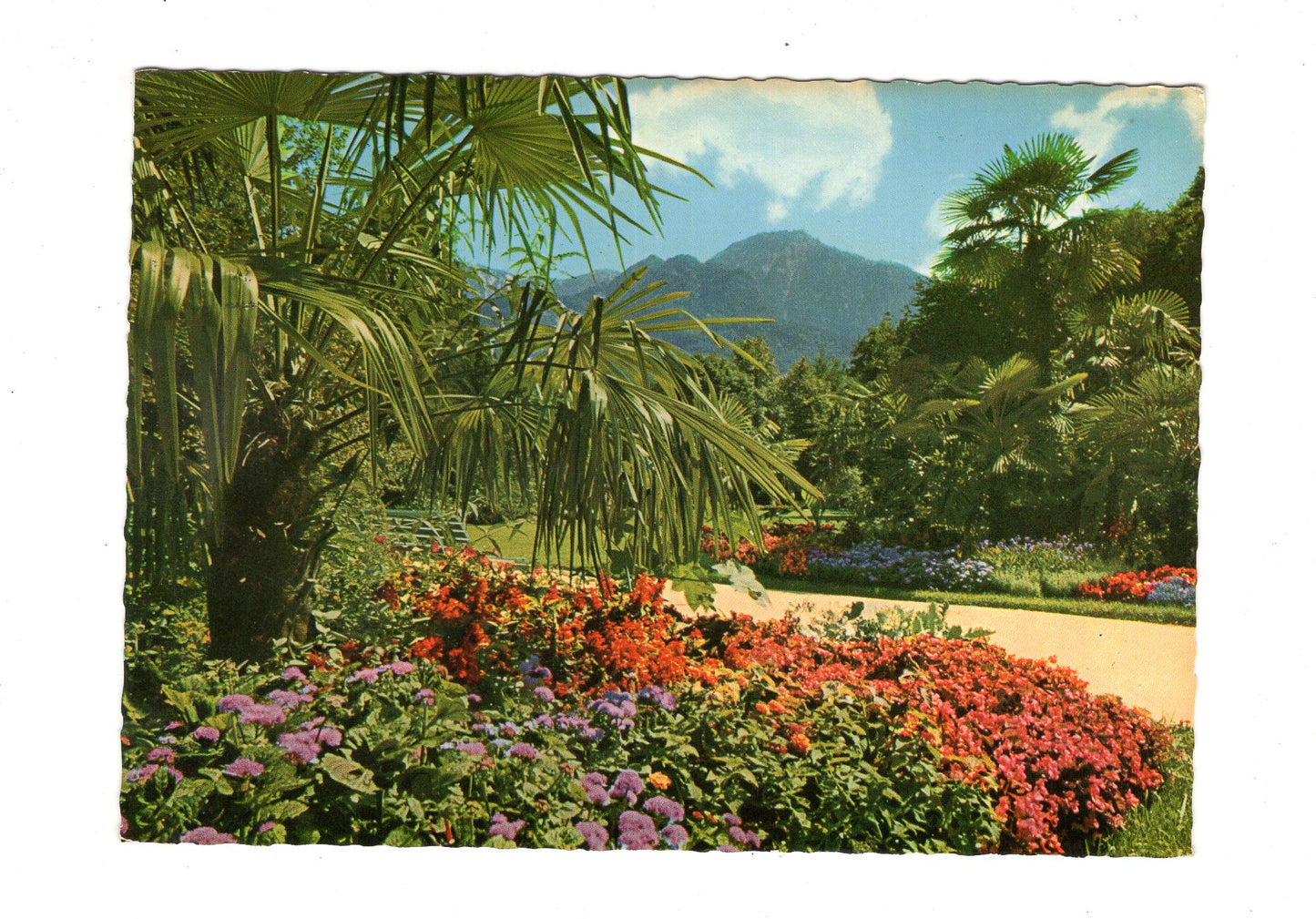 Ansichtskarte Bad Reichenhall / Kurpark