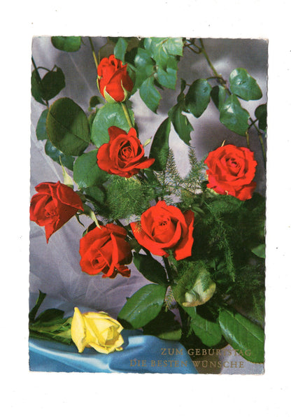 Ansichtskarte Glückwünsche / Glückwunsch zum Geburtstag / L1-60