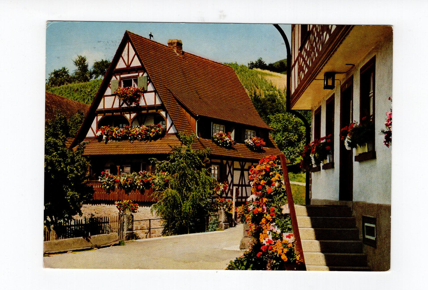 Ansichtskarte Sasbachwalden im Schwarzwald