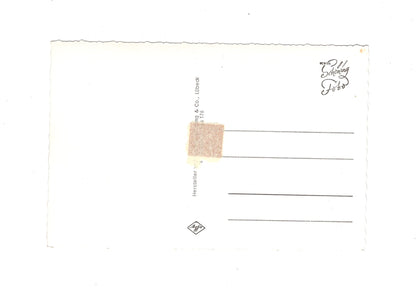 Ansichtskarte Passau an der Donau / Italienische Bauten am Inn