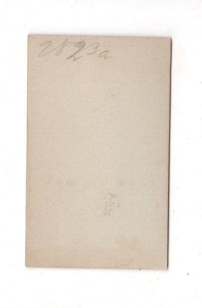Fotografie Feine Dame - Hannover 1890er / CDV L1-28