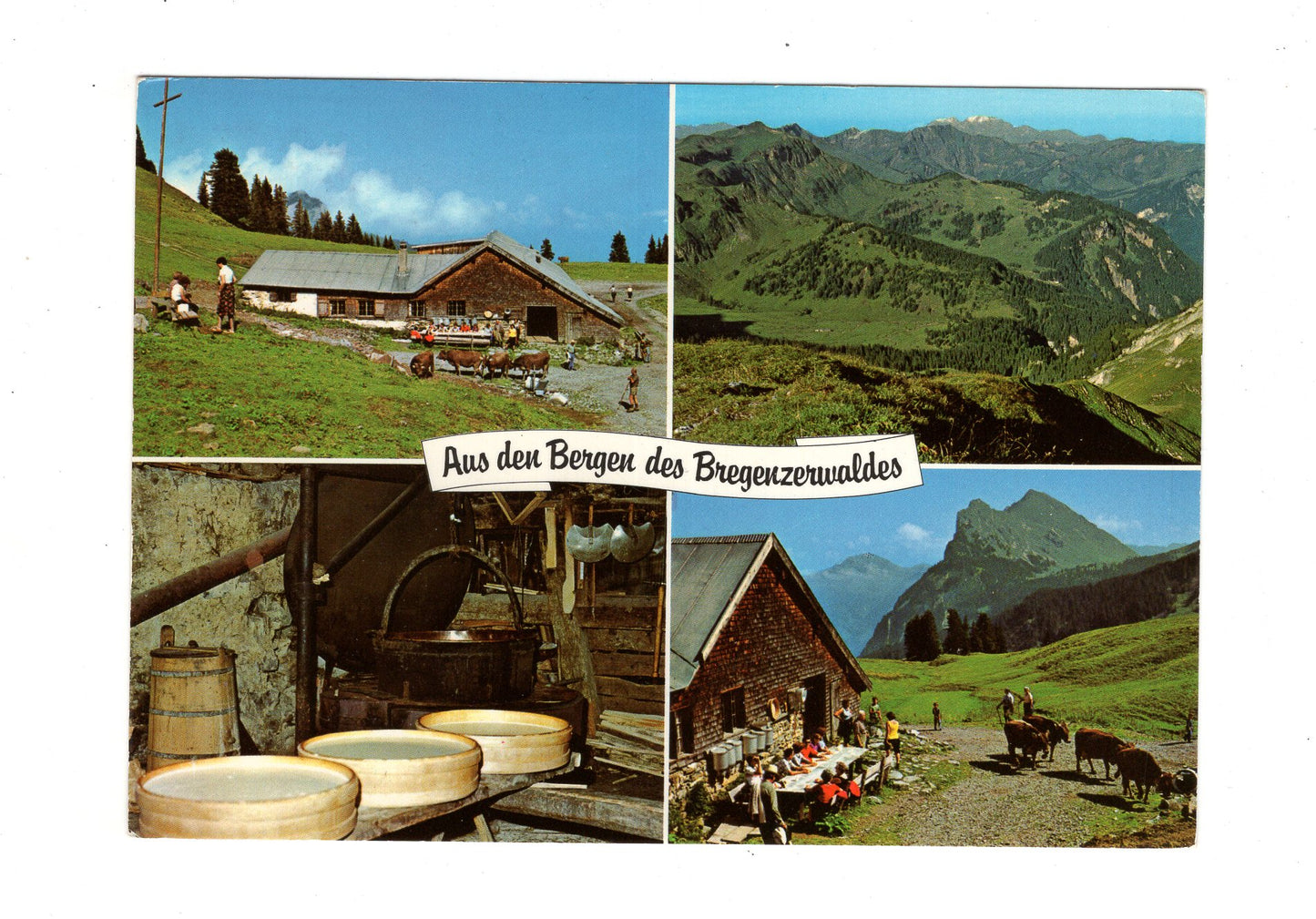 Ansichtskarte Alpensennerei im Bregenzerwald / Österreich
