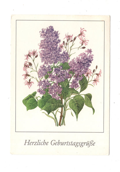 Ansichtskarte Glückwünsche / Glückwunsch zum Geburtstag / L1-60