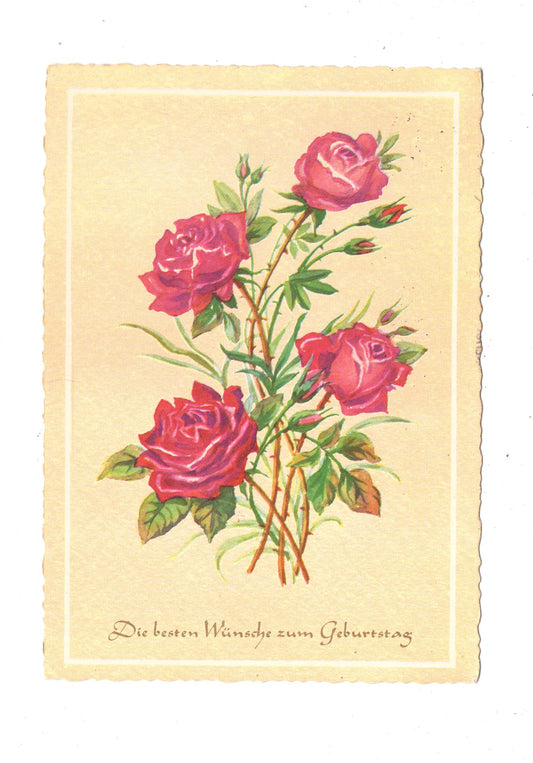 Ansichtskarte Glückwünsche / Glückwunsch zum Geburtstag / L1-60