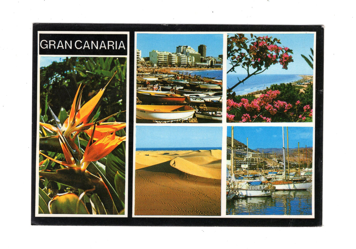 Ansichtskarte Gran Canaria / Spanien