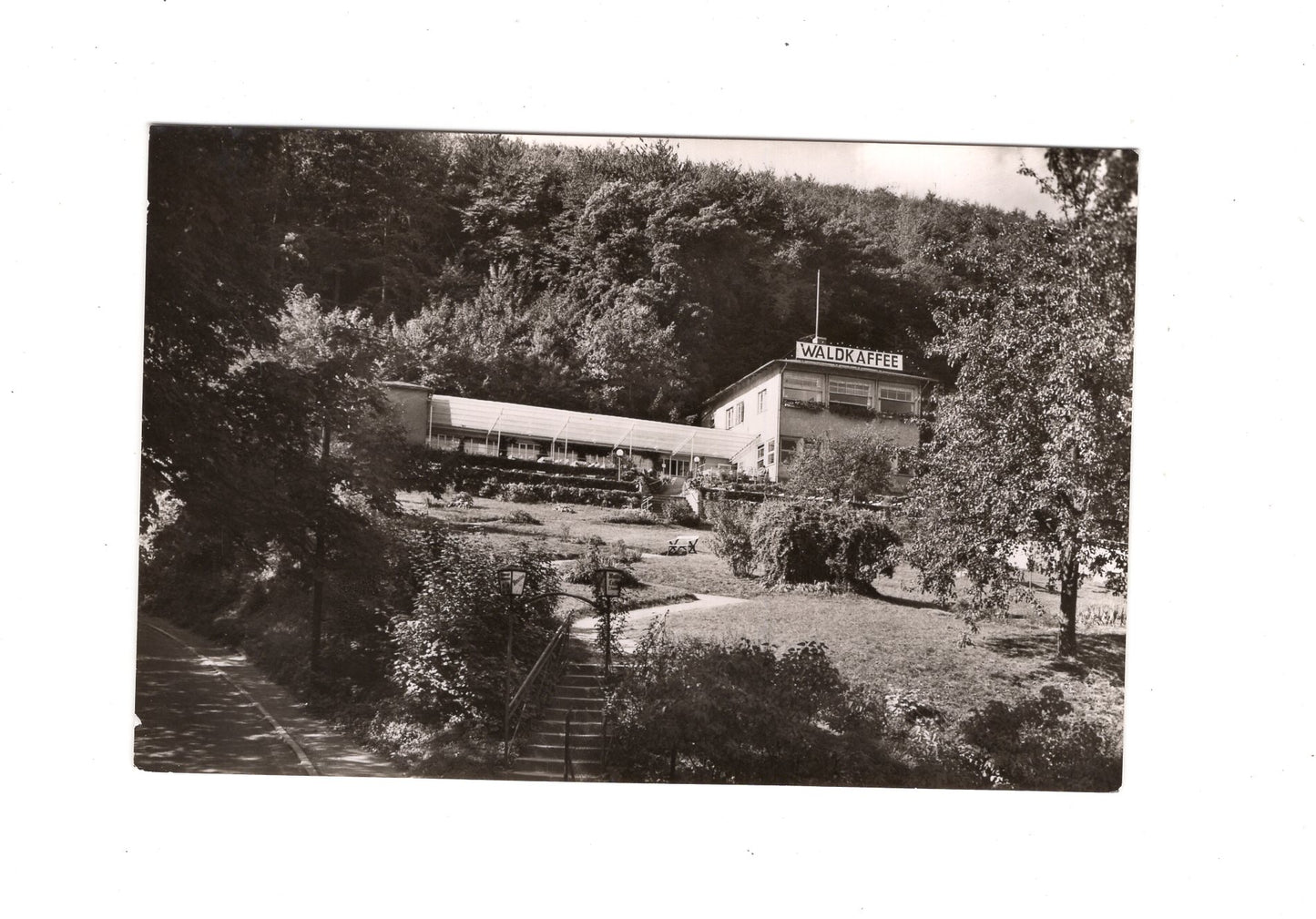 Ansichtskarte Waldcafé Bad Sooden-Allendorf