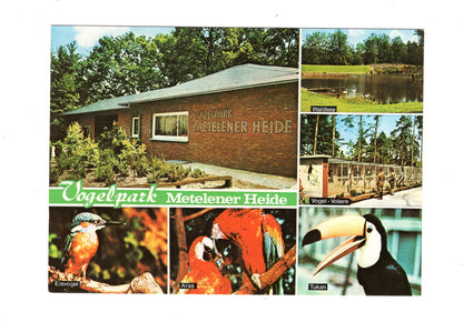 Ansichtskarte Vogelpark Metelener Heide / Metelen