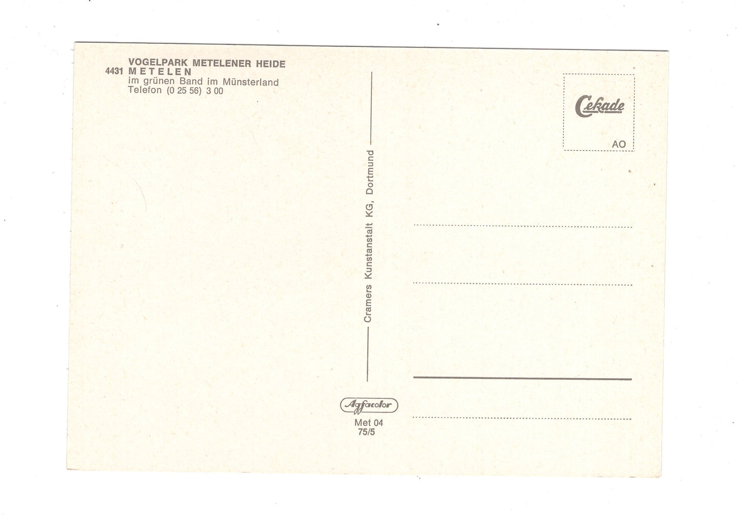 Ansichtskarte Vogelpark Metelener Heide / Metelen