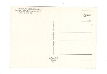 Ansichtskarte Vogelpark Metelener Heide / Metelen