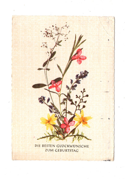 Ansichtskarte Glückwünsche / Glückwunsch zum Geburtstag / L1-60