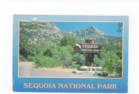Ansichtskarte Sequoia National Park / Kalifornien / USA