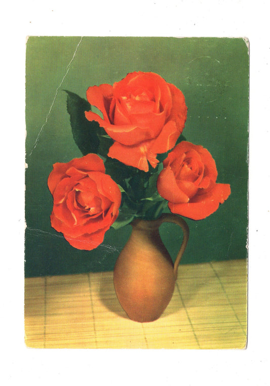 Ansichtskarte Glückwünsche / Glückwunsch zum Geburtstag / L1-60