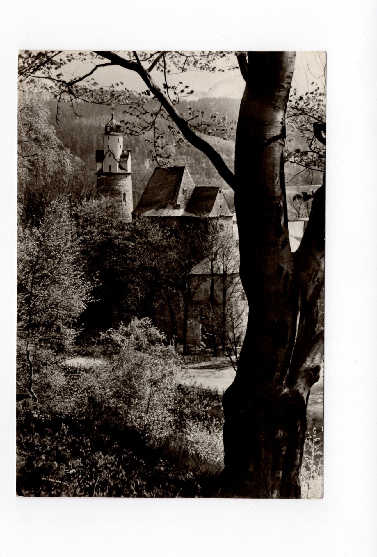 Ansichtskarte Hartenstein / Erzgebirge / Schloss Stein