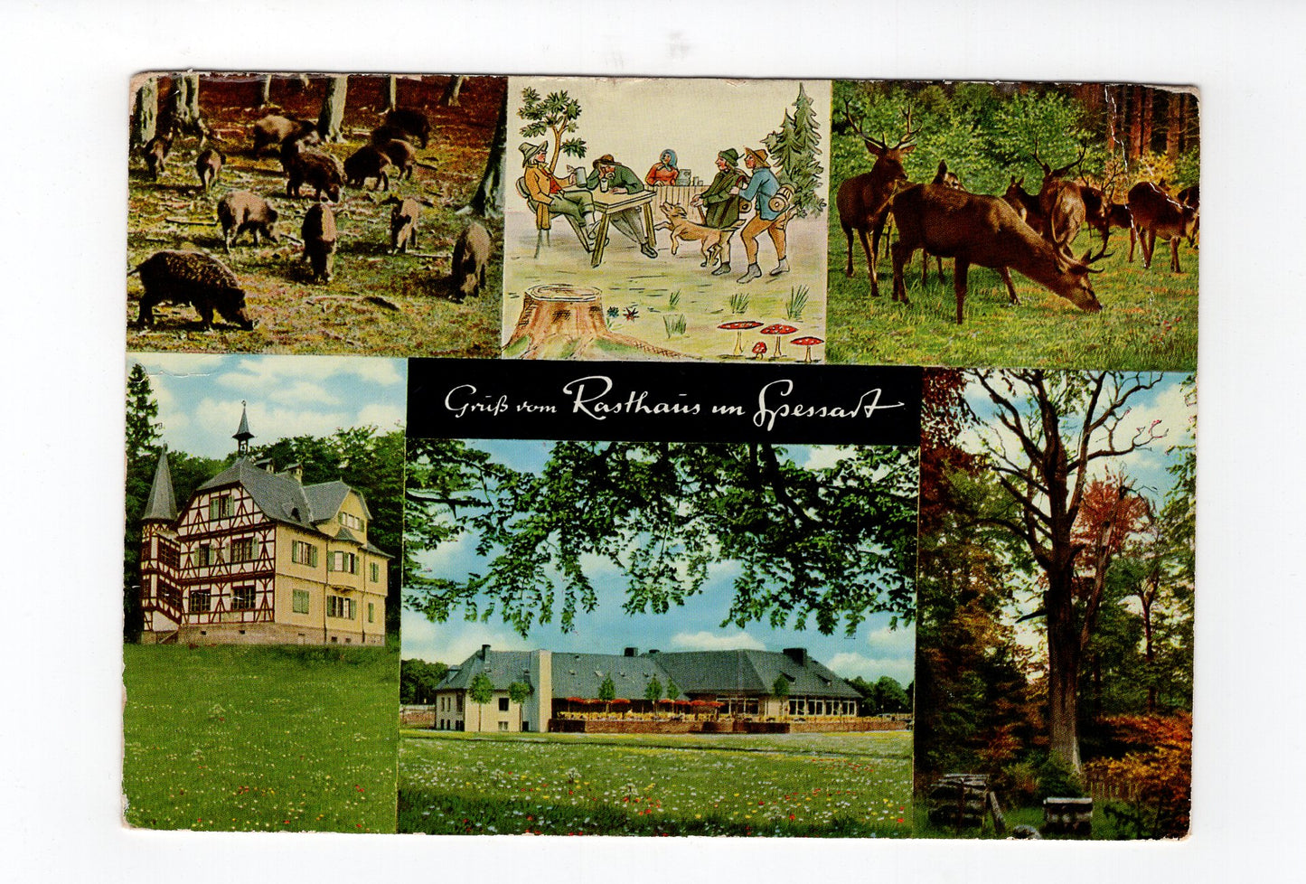 Ansichtskarte Autobahn-Motel Rasthaus im Spessart / Rohrbrunn