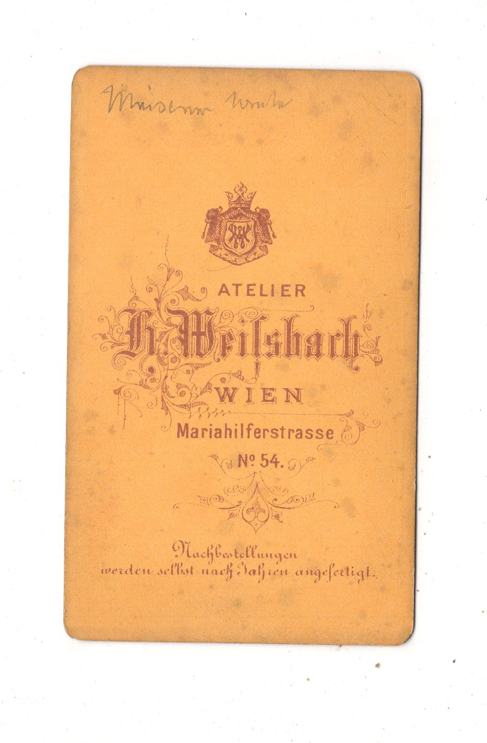 Fotografie Damenportrait - Wien 1870er / CDV N1-17