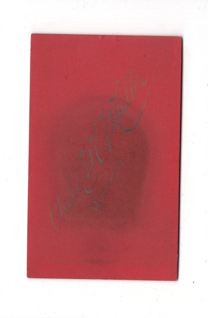 Fotografie Feine Dame - Rochlitz 1880er / CDV L1-28