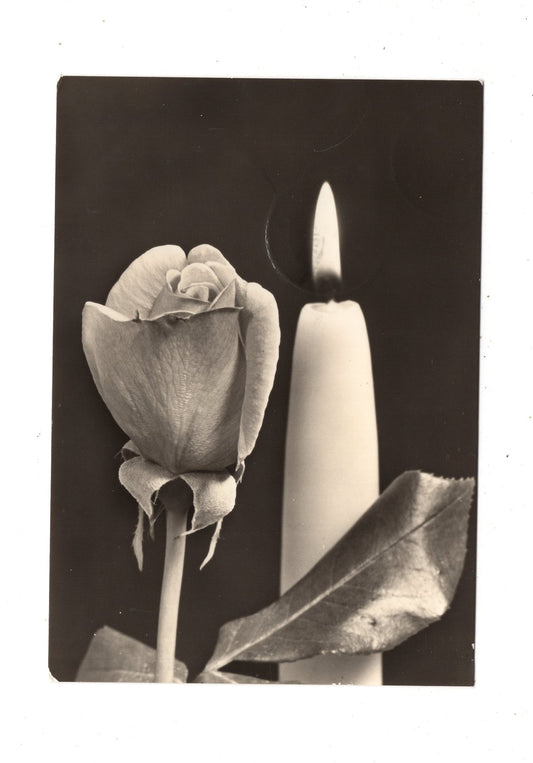 Ansichtskarte Glückwünsche / Glückwunsch zum Geburtstag / L1-60