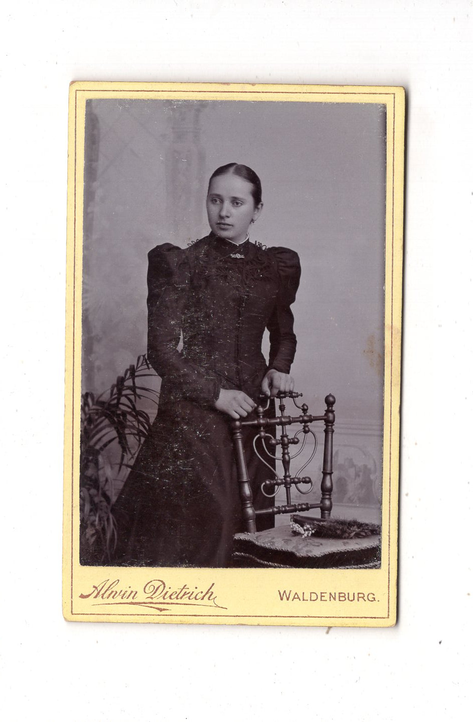 Fotografie Feine Dame - Waldenburg 1890er / CDV L1-28