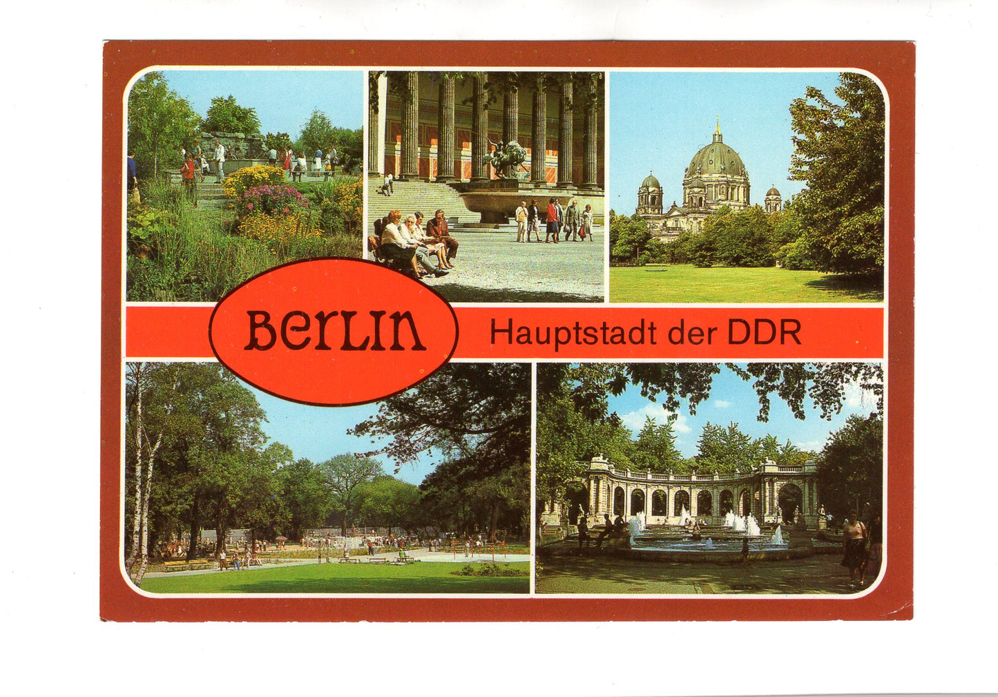 Ansichtskarte Berlin / DDR / Im Tierpark +++