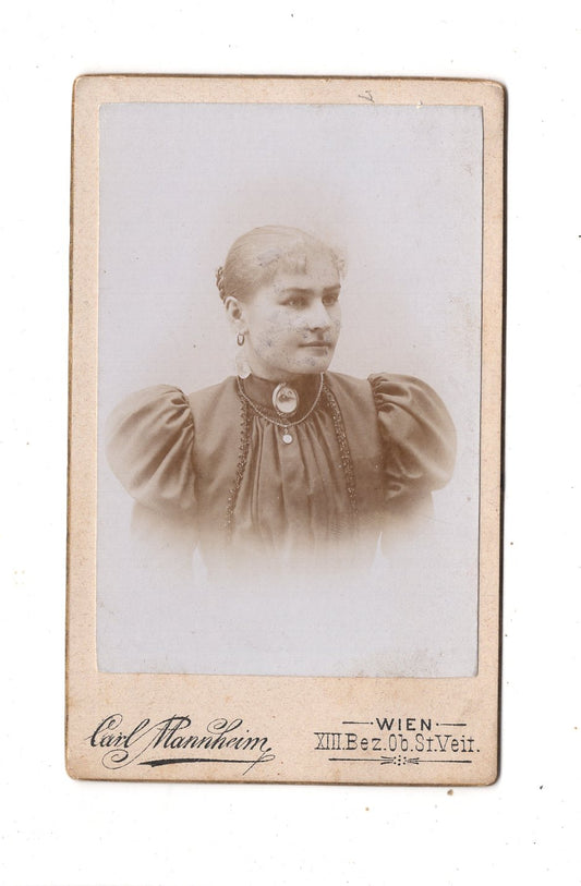 Fotografie Damenportrait - Wien 1890er / CDV N1-17