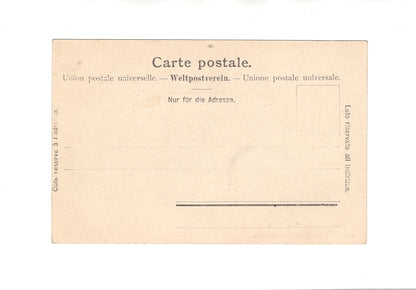 Ansichtskarte Das Rütli / Schweiz