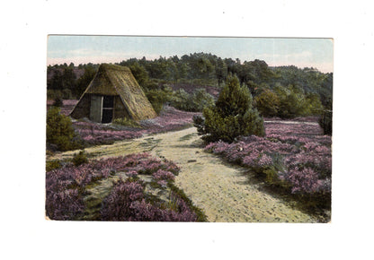 Ansichtskarte Lüneburger Heide / Alter Schafstall