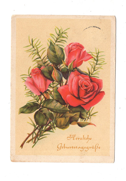 Ansichtskarte Glückwünsche / Glückwunsch zum Geburtstag / L1-60