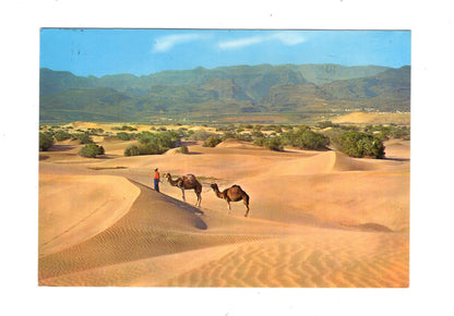 Ansichtskarte Gran Canaria / Desierto de Maspalomas / Spanien