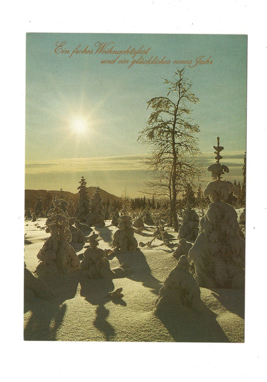 Ansichtskarte Feiertage / Frohe Weihnachten / K1-64