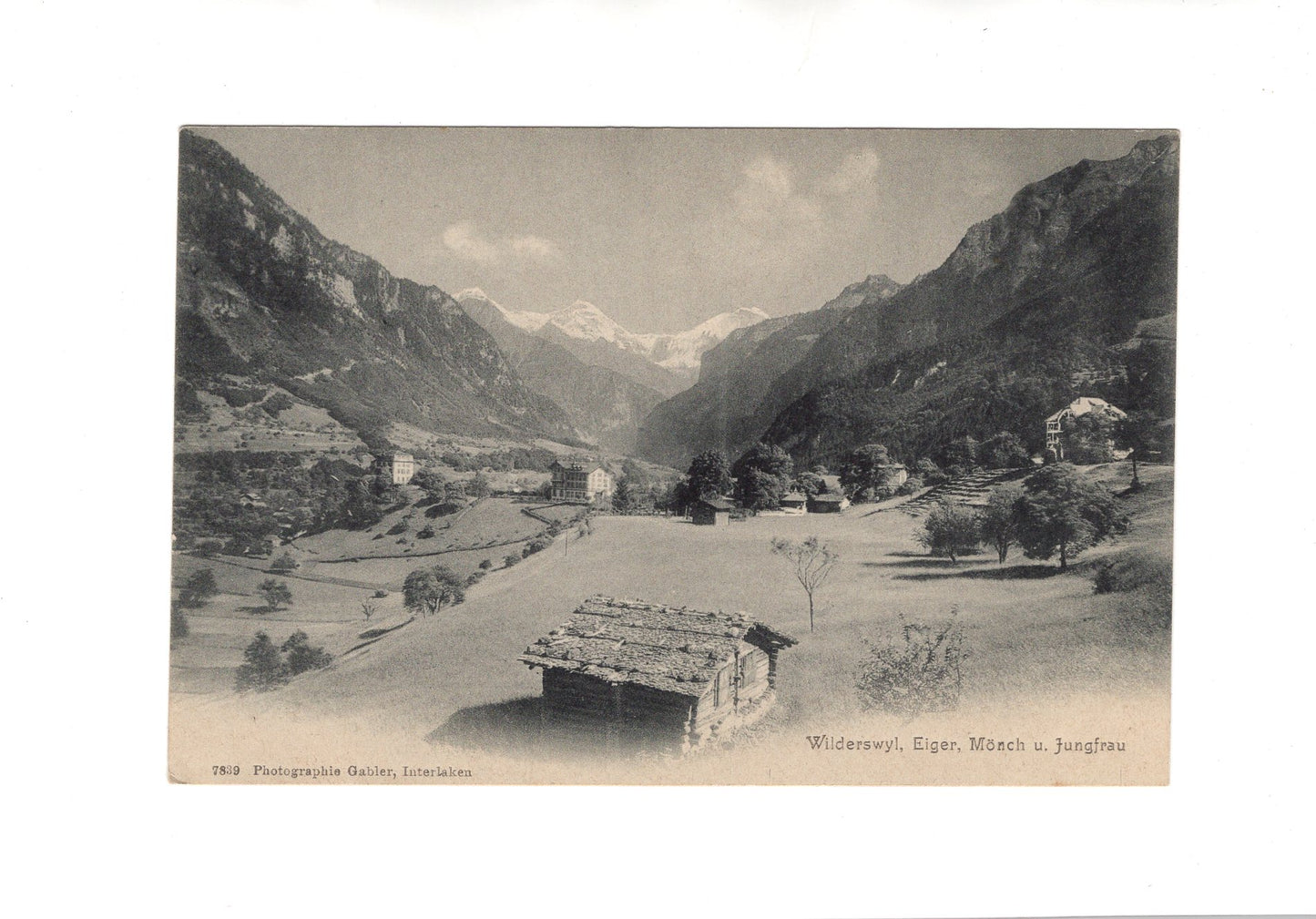 Ansichtskarte Wilderswyl / Eiger - Mönch - Jungfrau / Schweiz