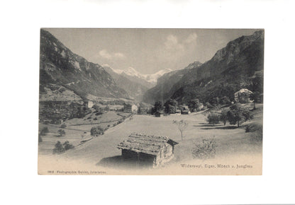 Ansichtskarte Wilderswyl / Eiger - Mönch - Jungfrau / Schweiz