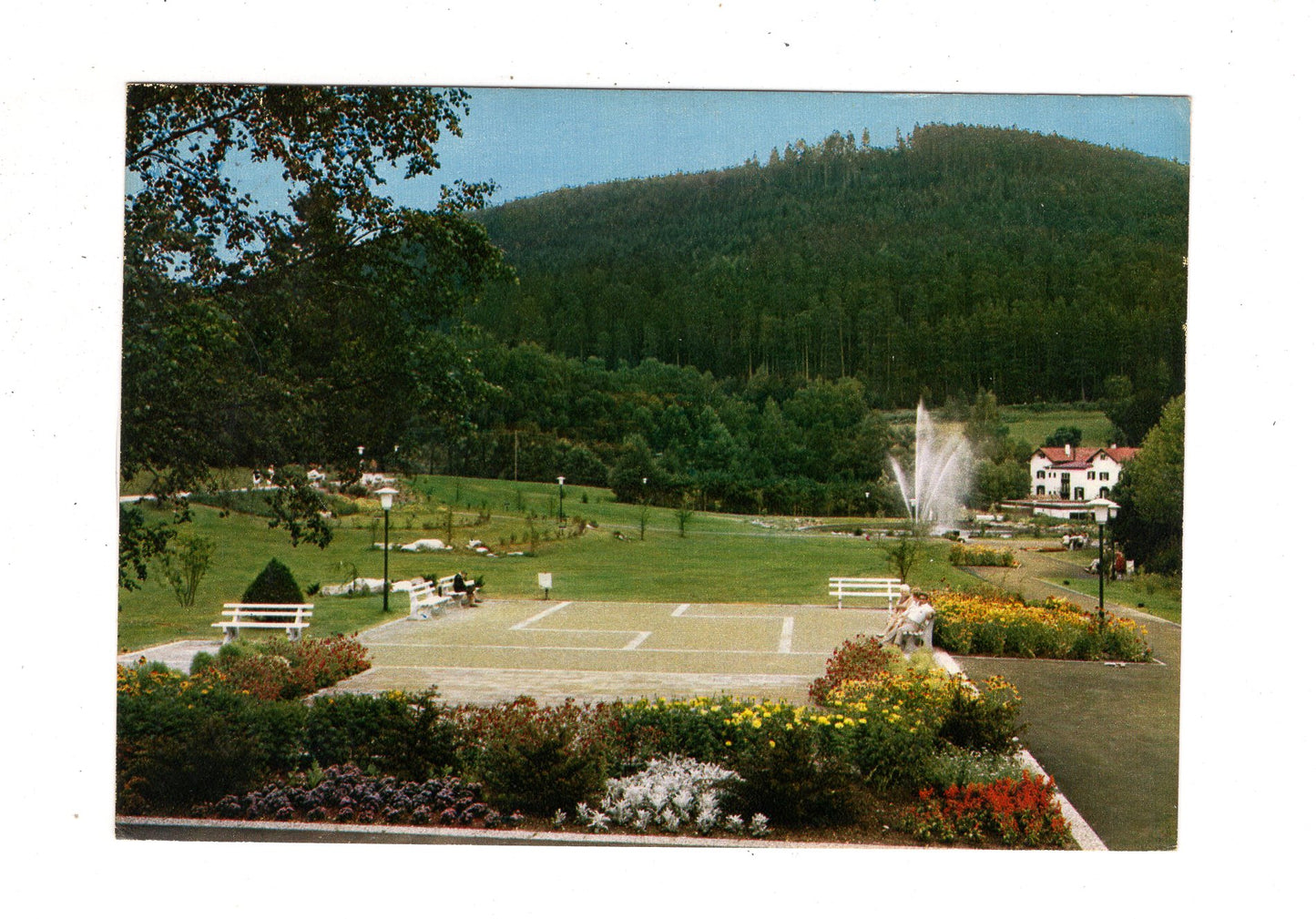 Ansichtskarte Enzklösterle im Schwarzwald / Im Kurpark / J1-69