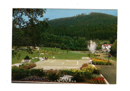 Ansichtskarte Enzklösterle im Schwarzwald / Im Kurpark / J1-69