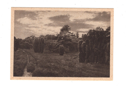 Ansichtskarte Lüneburger Heide
