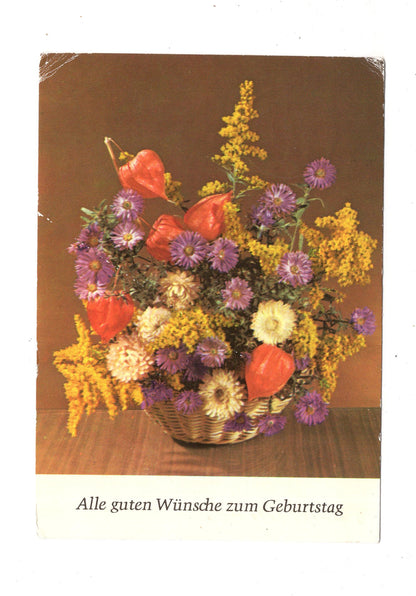 Ansichtskarte Glückwünsche / Glückwunsch zum Geburtstag / L1-60