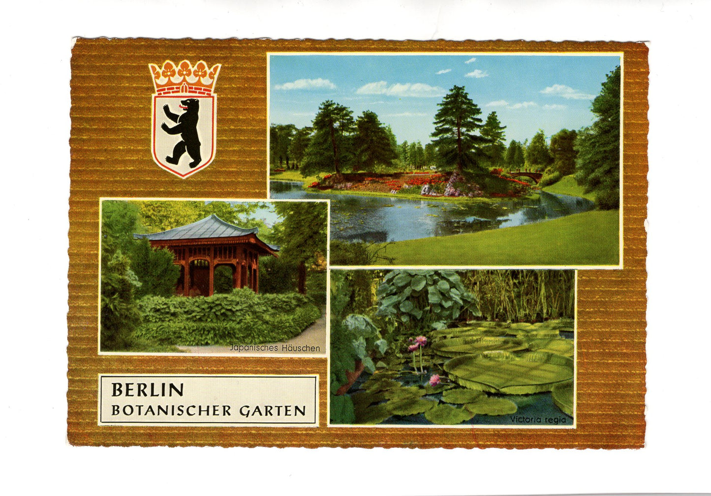 Ansichtskarte Berlin / Botanischer Garten
