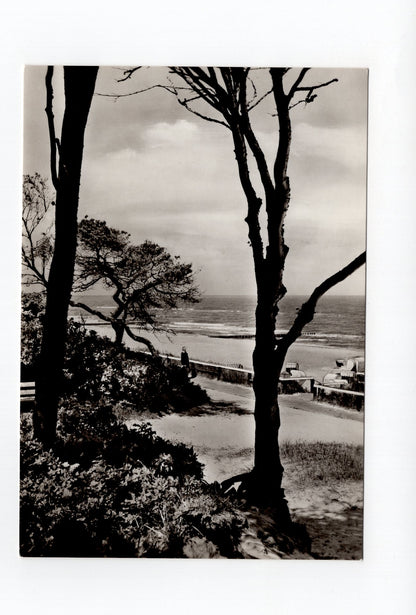 Ansichtskarte Ostseebad Graal-Müritz / Strandpromenade