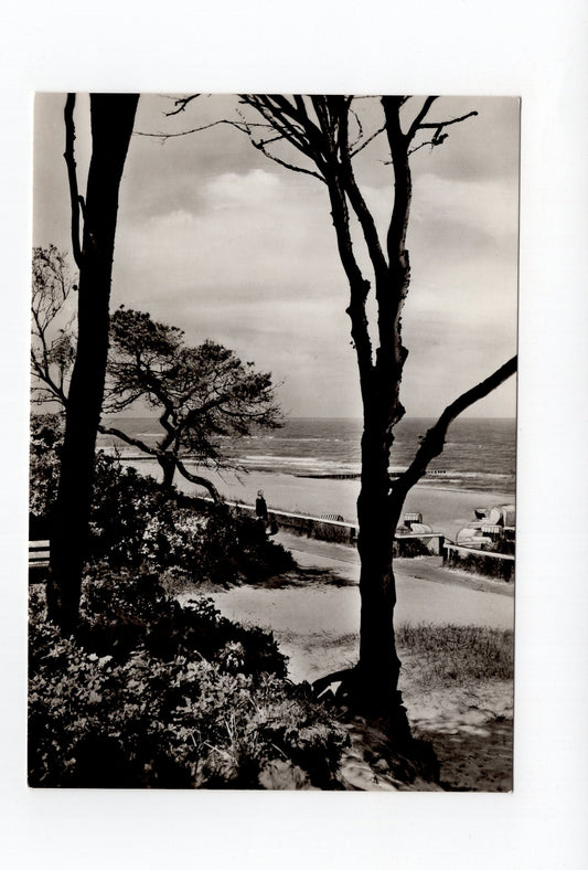 Ansichtskarte Ostseebad Graal-Müritz / Strandpromenade
