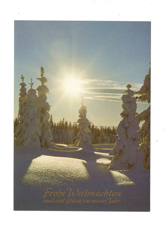 Ansichtskarte Feiertage / Frohe Weihnachten / K1-64