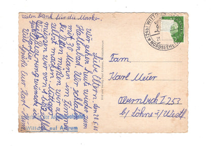 Ansichtskarte Nordseeinsel Amrum / Hafen / L1-69