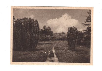 Ansichtskarte Lüneburger Heide
